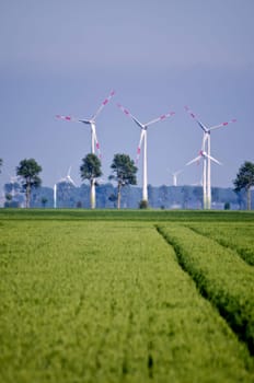 crop fields with wind power stations in the background