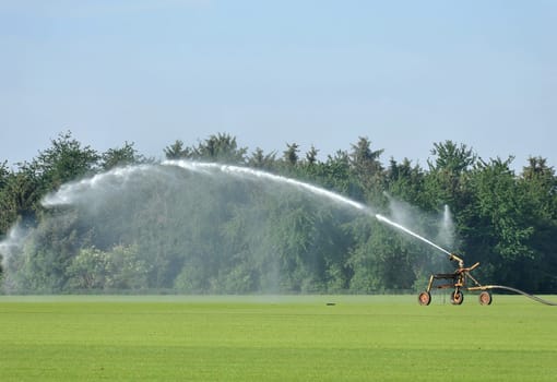 Irrigation