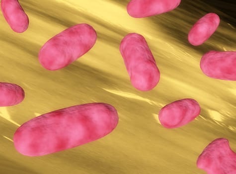 bacteria
