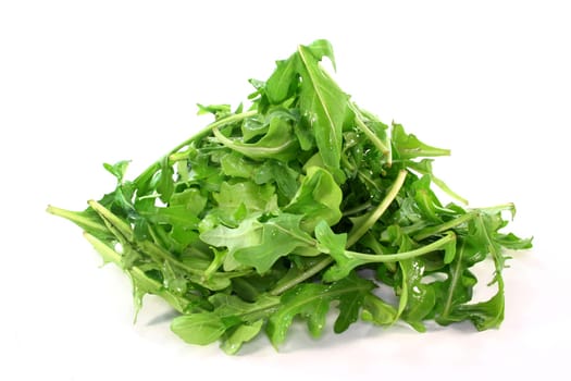 fresh arugula leaves against white background