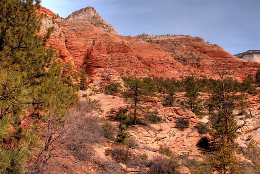 Zion National Park in Utah western United States