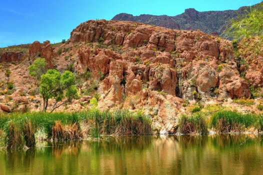 Early morning at a desert pond in the winter