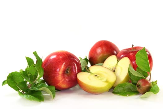 Apples and leaves against white background