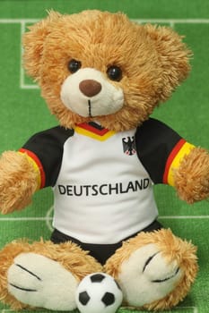 Teddy bear in football jersey on green background