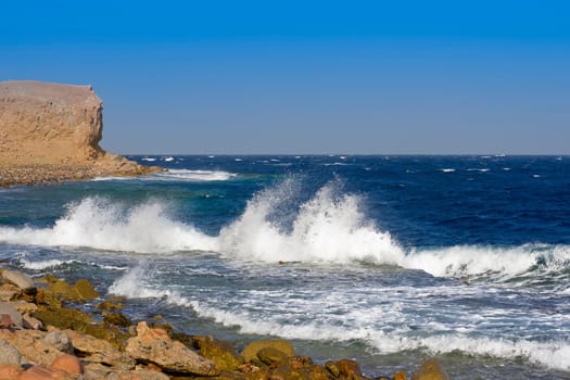 The wild beach of Ras Abu Gollum