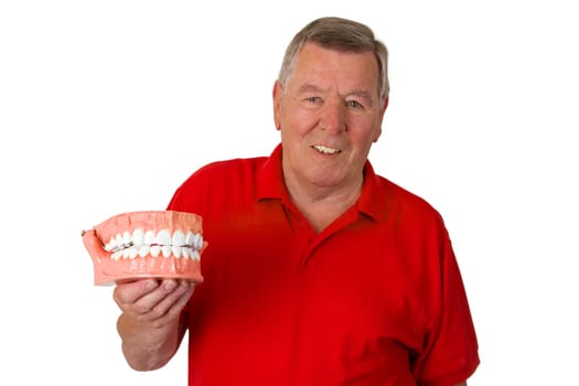 Friendly senior holding model of a set of teeth
