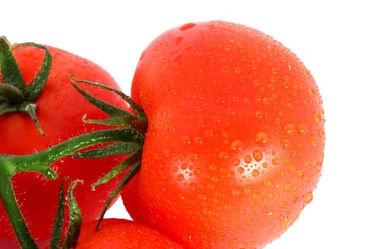 Fresh red ripe tomato with drops isolated on white