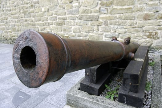 Cannon