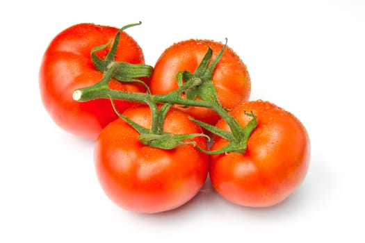 red tomato vegetable isolated on white background