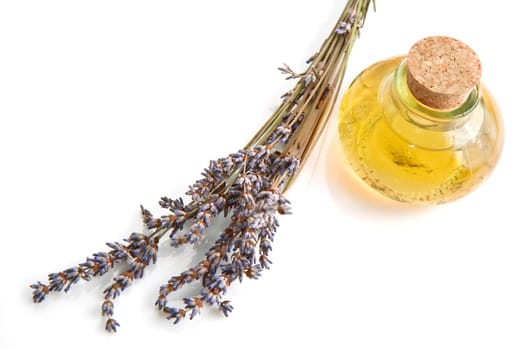 lavander oil with flower on white background