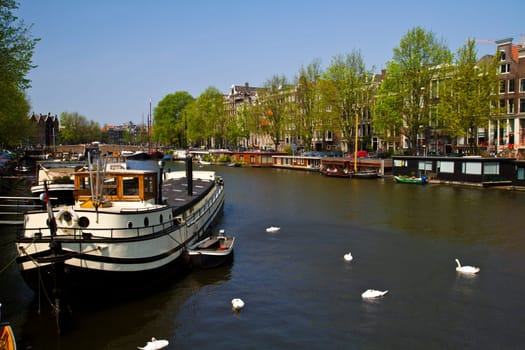 Beautiful houses on a canal in Amsterdam