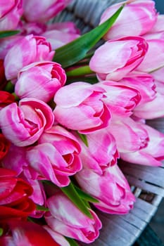 tulip in basket in flower shop
