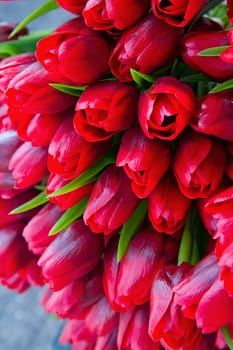 tulip in basket in flower shop