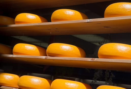 Cheese rack in refining in Gouda