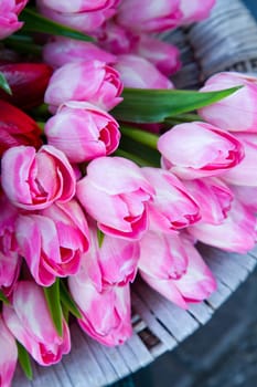 tulip in basket in flower shop