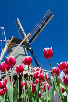 Dutch windmill in Holland with blue sky