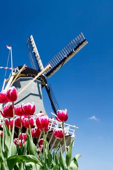 Dutch windmill in Holland with blue sky