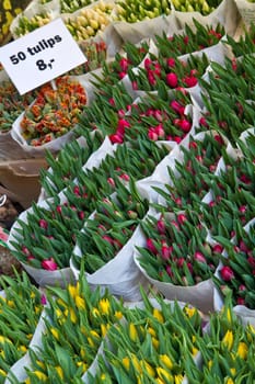 Detail of Amsterdam flowers market
