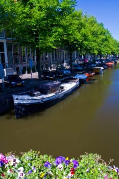 One of canals in Amsterdam