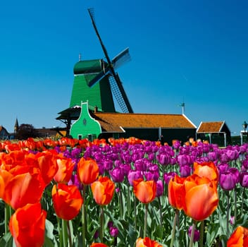 Photo of windmill in Holland with blue sky