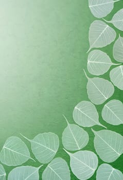 Skeletal leaves over green handmade paper. Clipping path included.