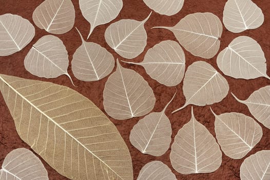 Skeletal leaves over brown handmade paper - background