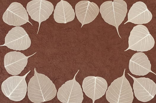 Skeletal leaves over brown handmade paper - frame
