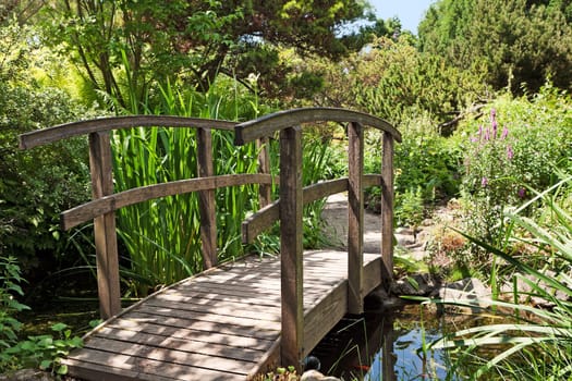 botanical garden,beautiful nature for hiking and walking in Vienna