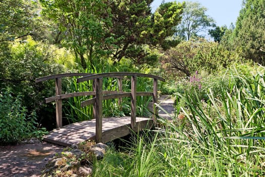 botanical garden,beautiful nature for hiking and walking in Vienna