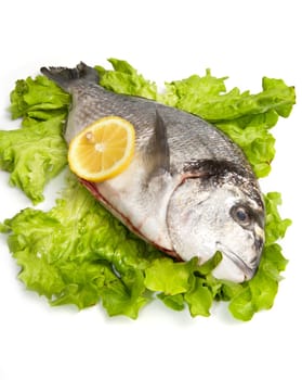 gilthead bream on fresh salad isolated on white background