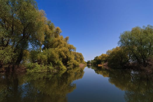 a small river channel in the Danube Delta