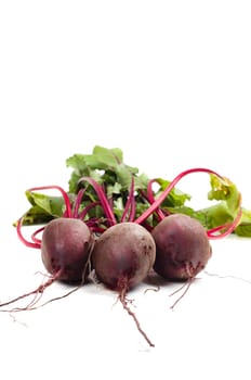 Shot of young beet isolated on white