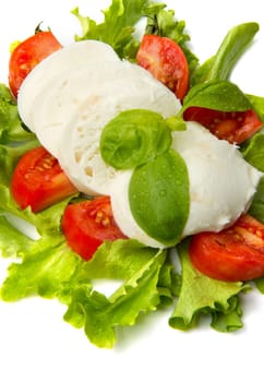 the fresh mozzarella with tomato and basil