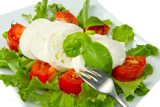 the fresh mozzarella with tomato and basil