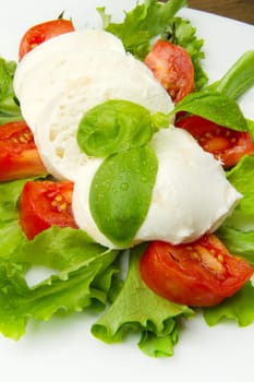 the fresh mozzarella with tomato and basil