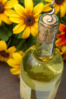 Opening a bottle of white  wine