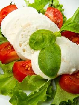 the fresh mozzarella with tomato and basil