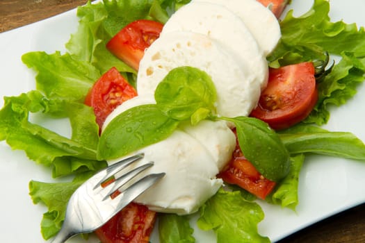 the fresh mozzarella with tomato and basil