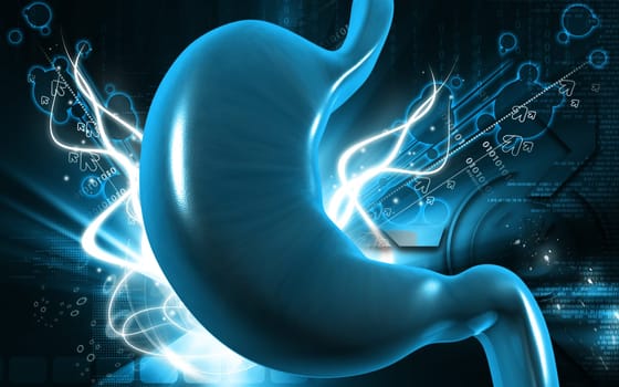 Digital illustration of stomach in colour background
