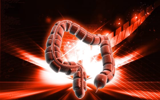 Digital illustration of large intestine in colour background