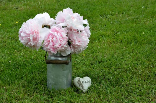 pink peonies in the garden