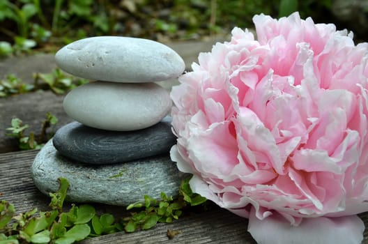 Stones Wellness Garden