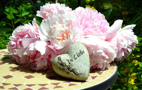 pink peonies in the garden