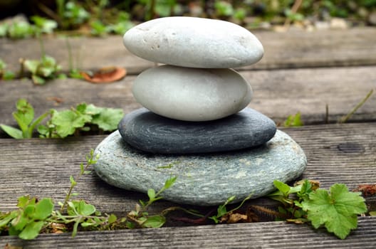 Stones Wellness Garden