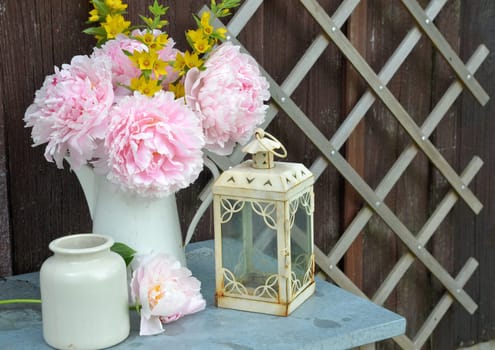 pink peonies in the garden