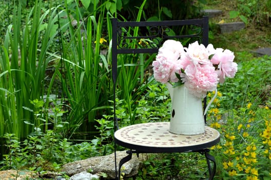 pink peonies in the garden