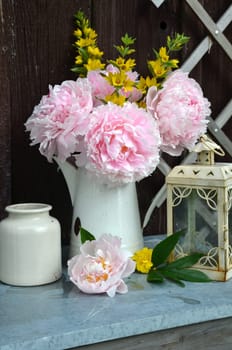 pink peonies in the garden
