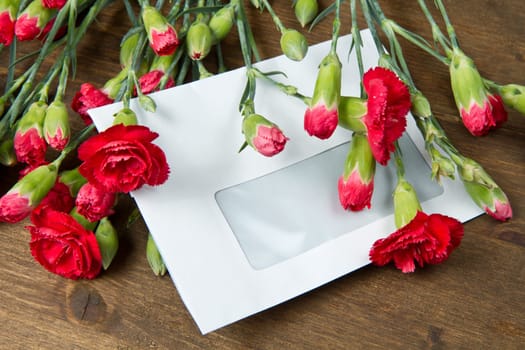 Spring letter and red carnation