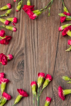red carnation over wodden table