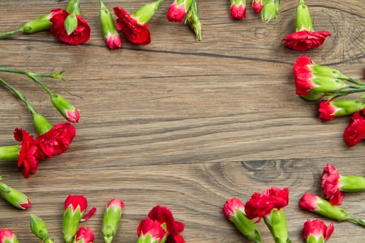 red carnation over wodden table
